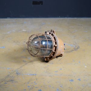 Custom Industrial Cage Lamp - IP65