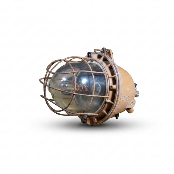 Custom Industrial Cage Lamp - IP65