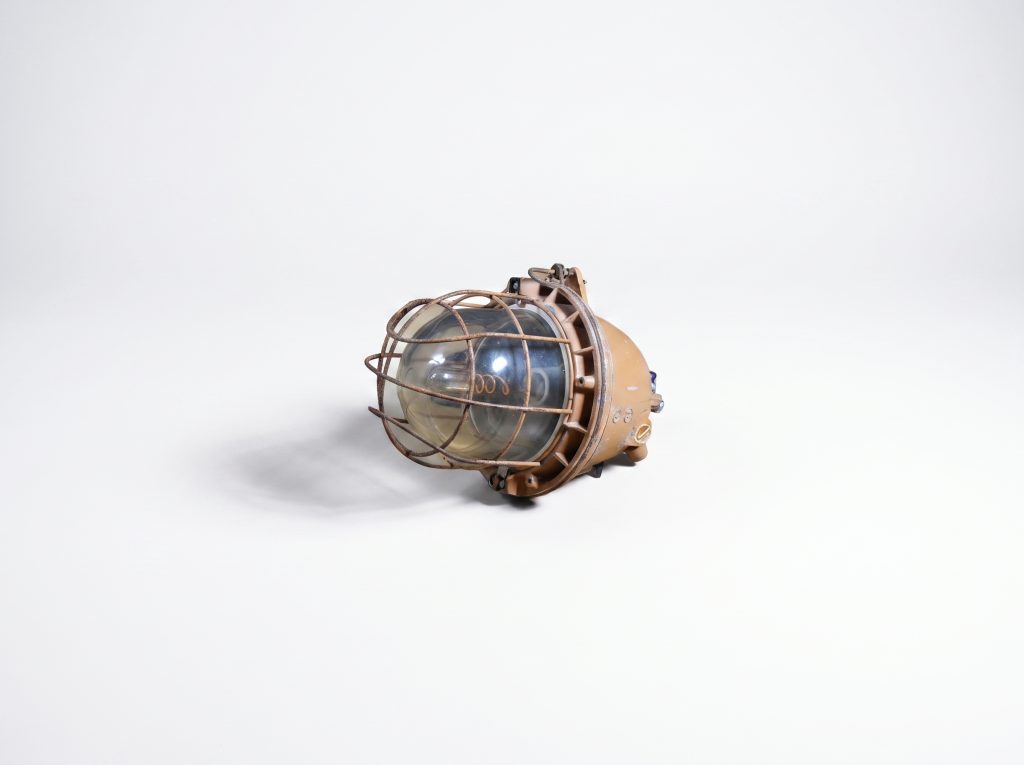 Custom Industrial Cage Lamp - IP65